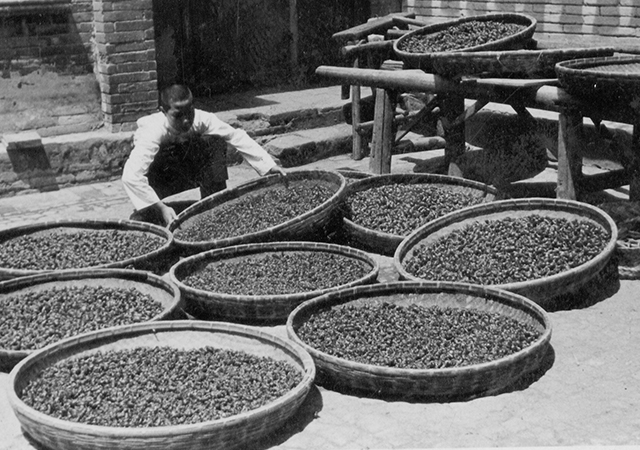 明禁烟大义 ,鹤年堂宁参茸饮片出口贸易受损